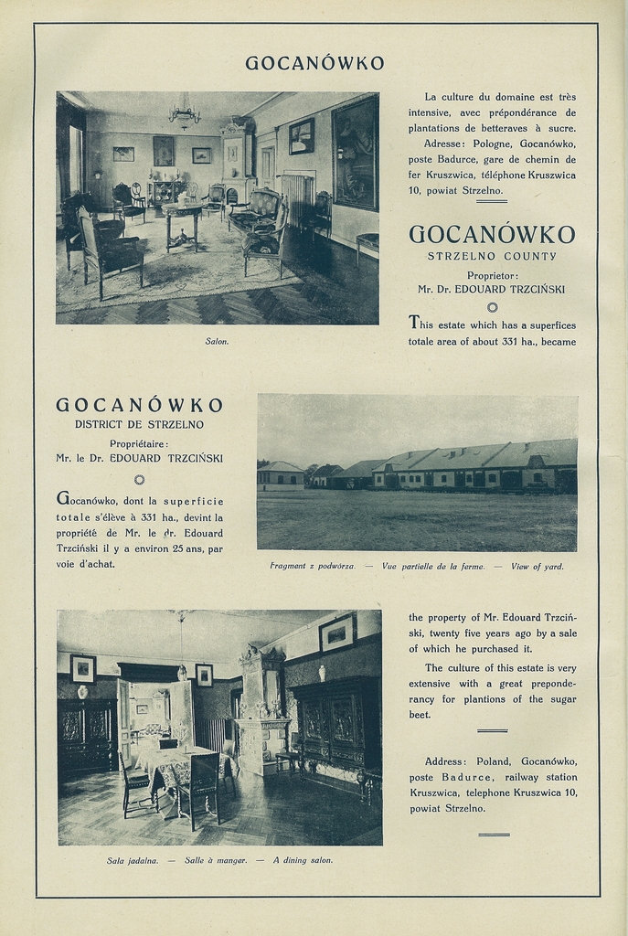 050 gocanowko.jpg